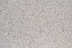 061