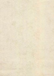 1034-02