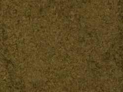 250
