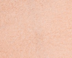 261