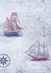 2904-6