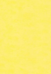 2905-12