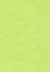 2905-13