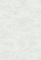 2905-3