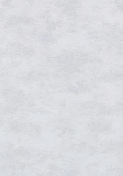 2905-8
