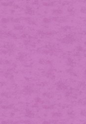 2905-9