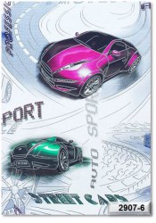 2907-6