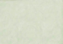 30365