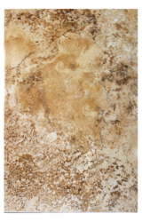 9BR0258G
