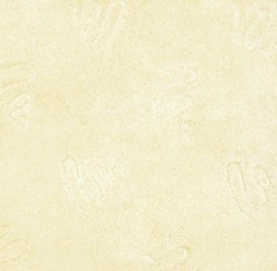 Polo_115
