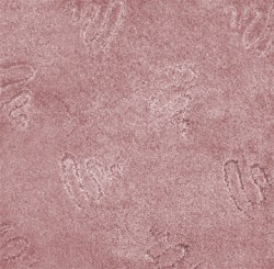 Polo_293